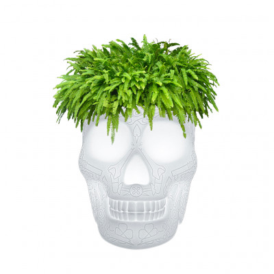 Qeeboo - City - Mexico Battery LED RGB TL - Table lamp multifunction - Transparent PMMA - LS-QB-70009LED - RGB - Diffused